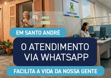 Anúncio Pago Direita 300 x 270