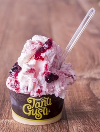 Gelateria artesanal Tanti Gusti &eacute; inaugurada em Santo Andr&eacute;