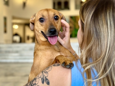C&atilde;es e gatos poder&atilde;o ser sepultados em jazigos familiares ap&oacute;s nova lei