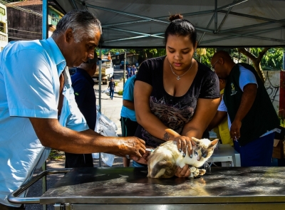 Santo André inicia campanha de vacinação animal no dia 15 agosto