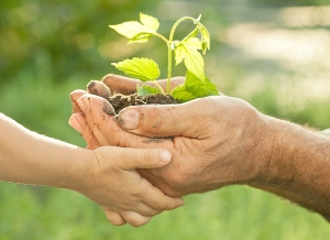 Come&ccedil;am inscri&ccedil;&otilde;es para Encontro de Educa&ccedil;&atilde;o Ambiental do Grande ABC