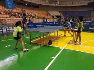 S&atilde;o Bernardo recebe 1&ordf; etapa da Liga Nipo Brasileira de T&ecirc;nis de Mesa